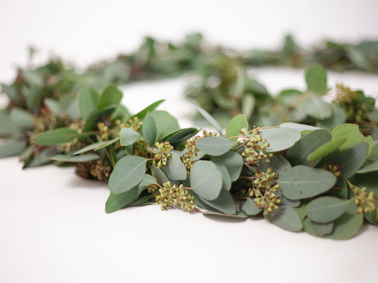 Fresh Seeded Eucalyptus Garland - Hello Eucalyptus 
