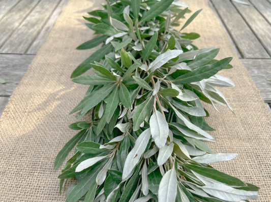 Integrifolia Garland