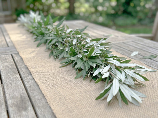 Integrifolia Garland