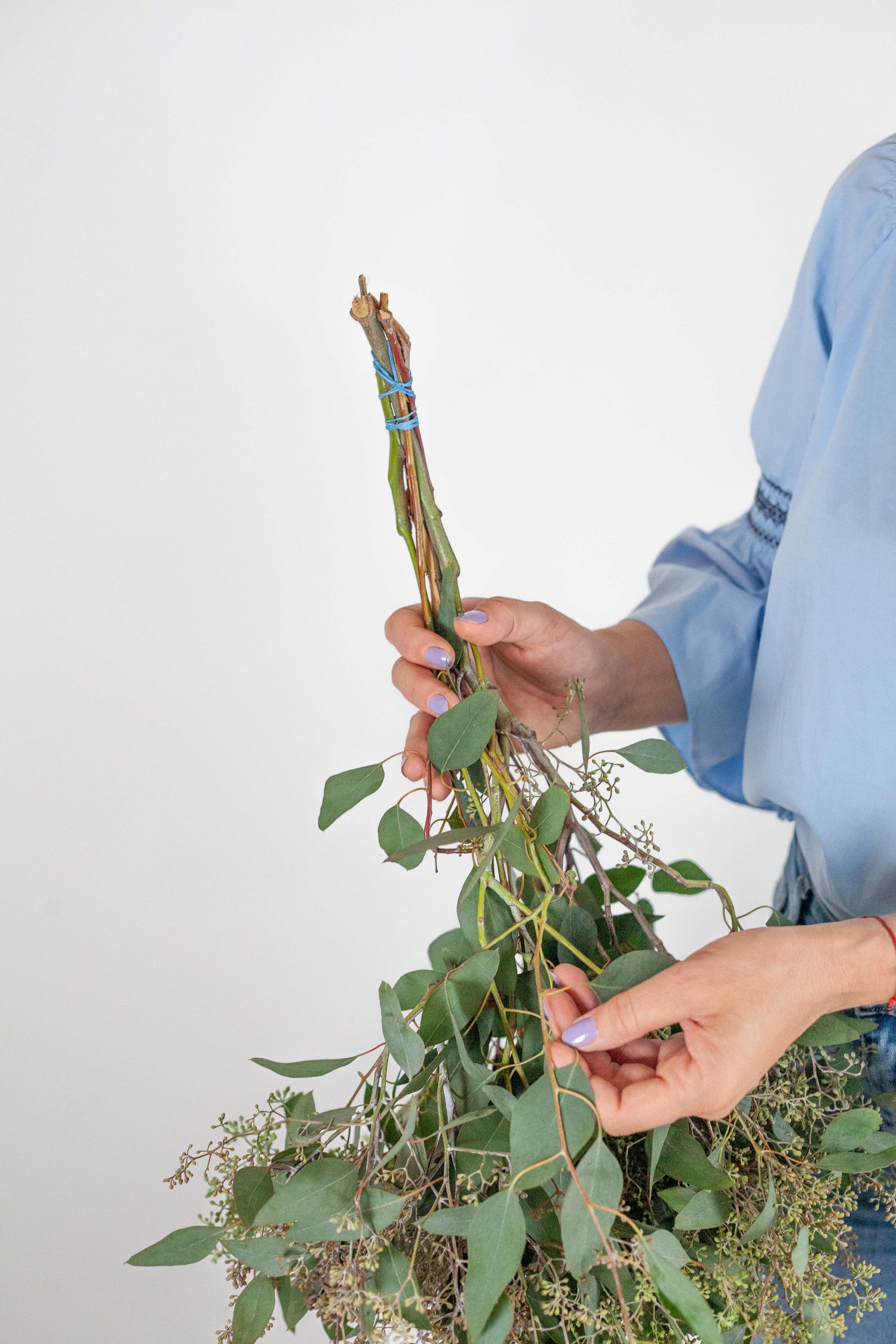 Seeded Stems Eucalyptus