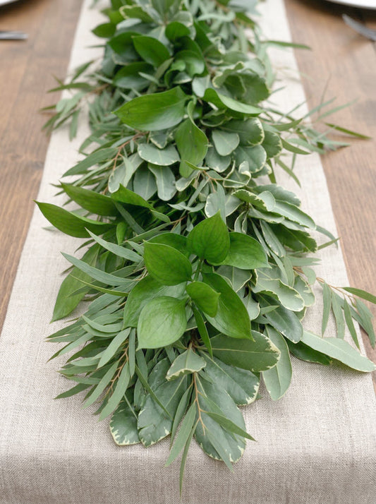 Fresh Variegated Pittosporum, Feather & Ruscus Garland