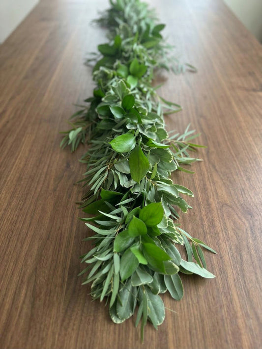 Fresh Variegated Pittosporum, Feather & Ruscus Garland
