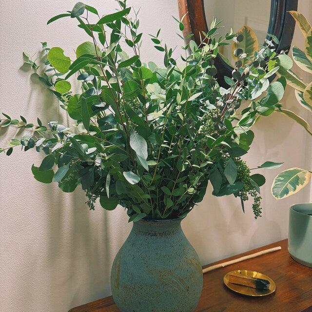 Mixed Fresh Eucalyptus Bouquet - Hello Eucalyptus 