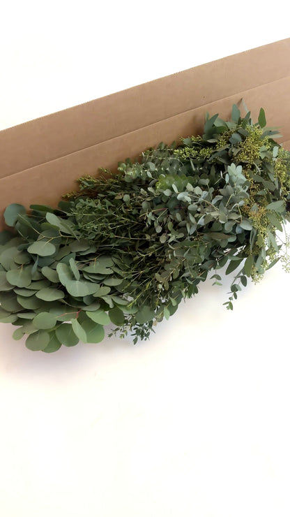 Bulk Assortment Eucalyptus Greenery Box