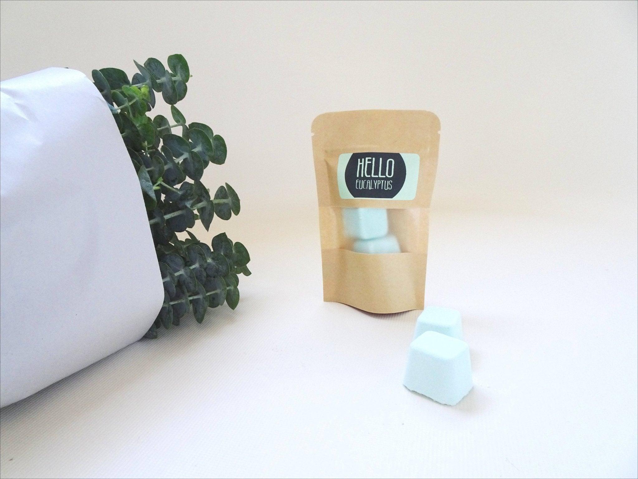 Fresh Shower Eucalyptus Bundle | Buy Online | Hello Eucalyptus – Hello ...